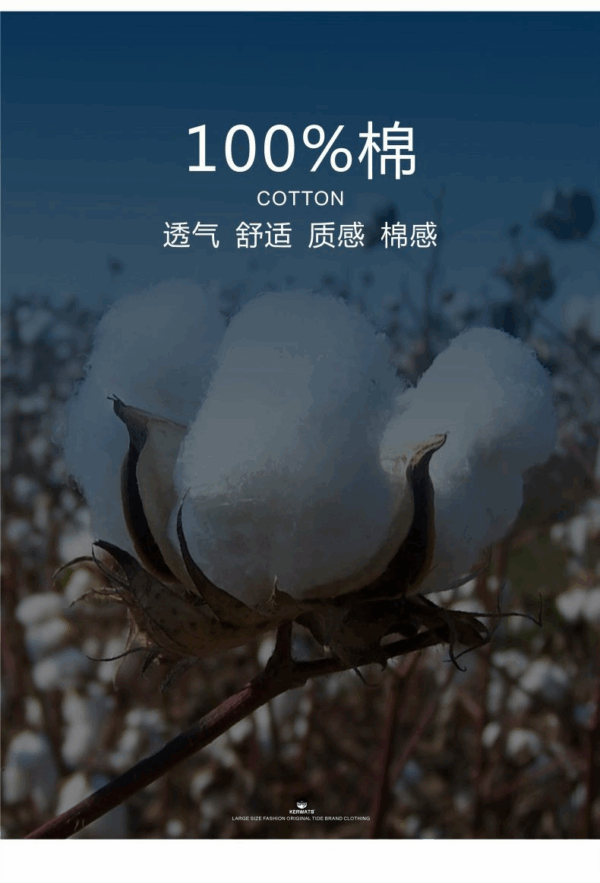 歐貨純棉休閒運動服 | 時尚套裝女夏學生寬鬆韓版短袖+短褲跑步兩件套